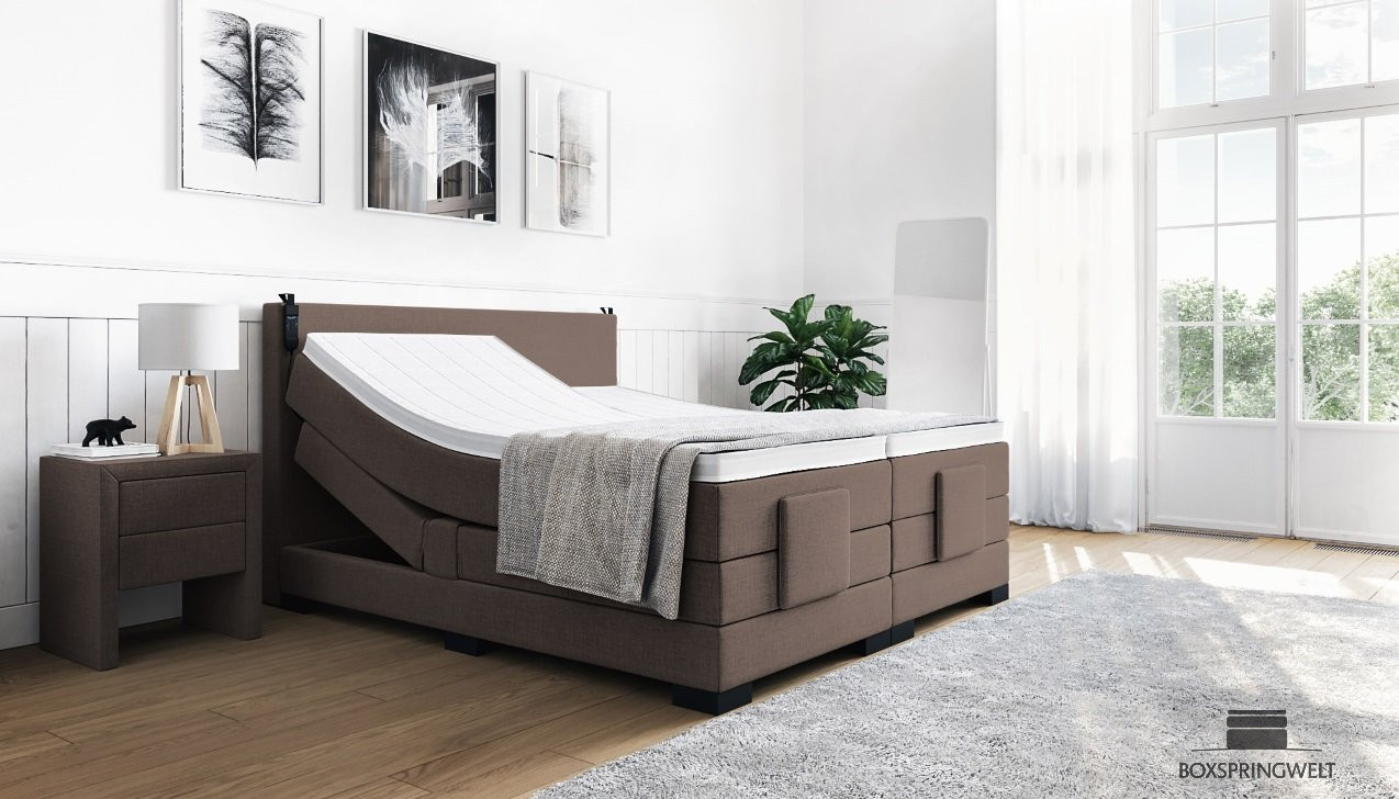 Boxspringbett Konrad mit Motor in Board Taupe