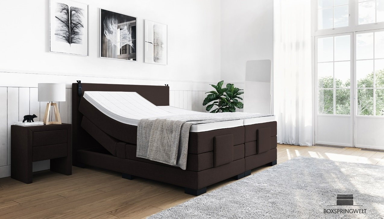 Boxspringbett Konrad mit Motor in Board Dunkelbraun