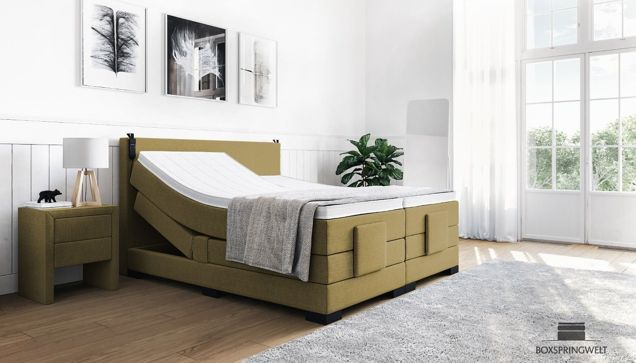 Boxspringbett Konrad mit Motor in Board Olive