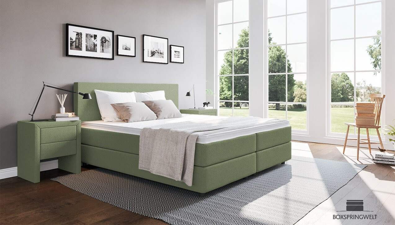 Boxspringbett Edmund in Board Grün