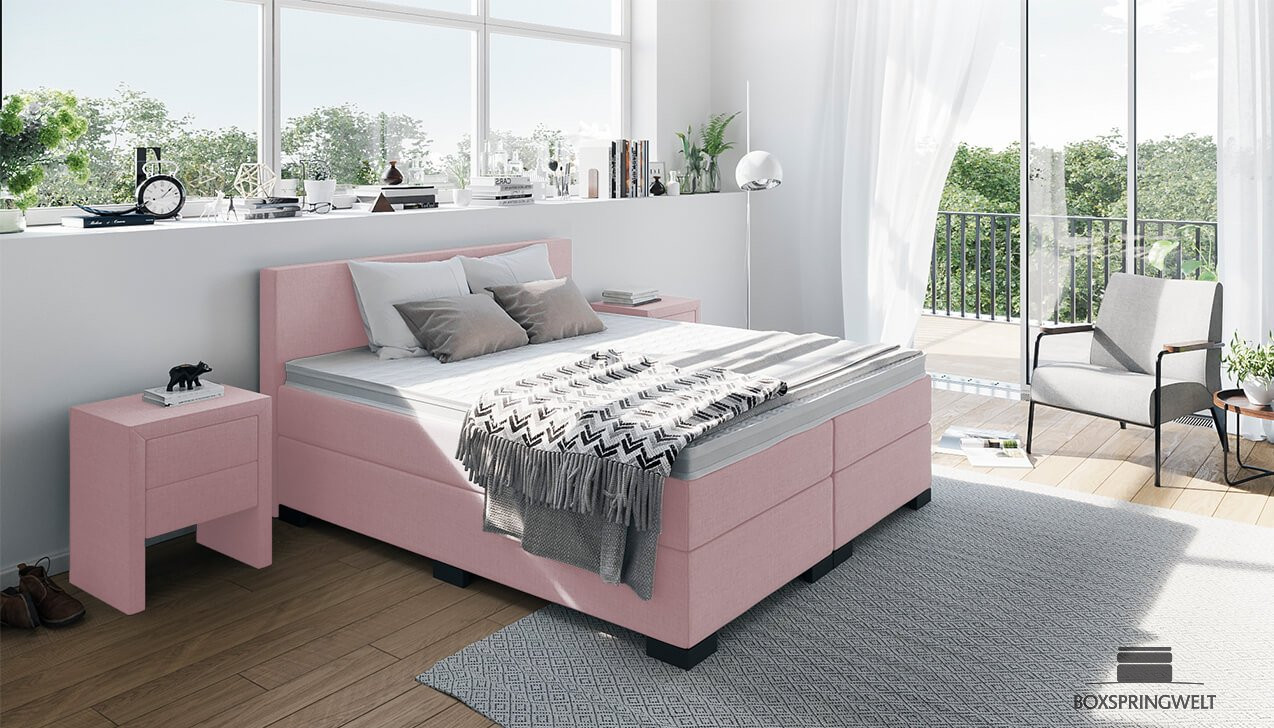 Boxspringbett William in Board Rosa