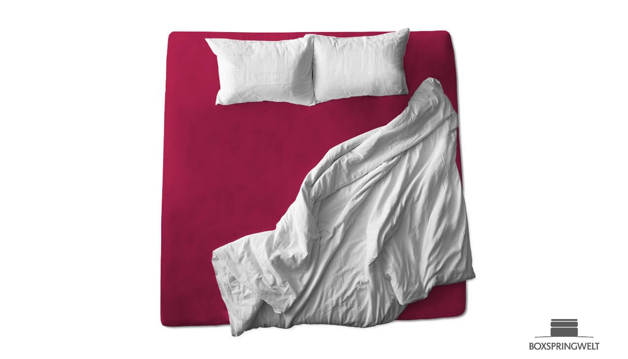 Schaflux Jersey Spannbettlaken in Brombeer