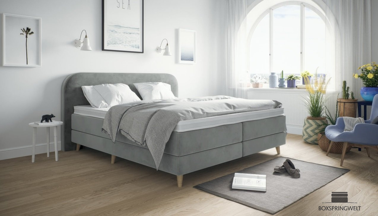 Boxspringbett Meghan in Adore Dolphin