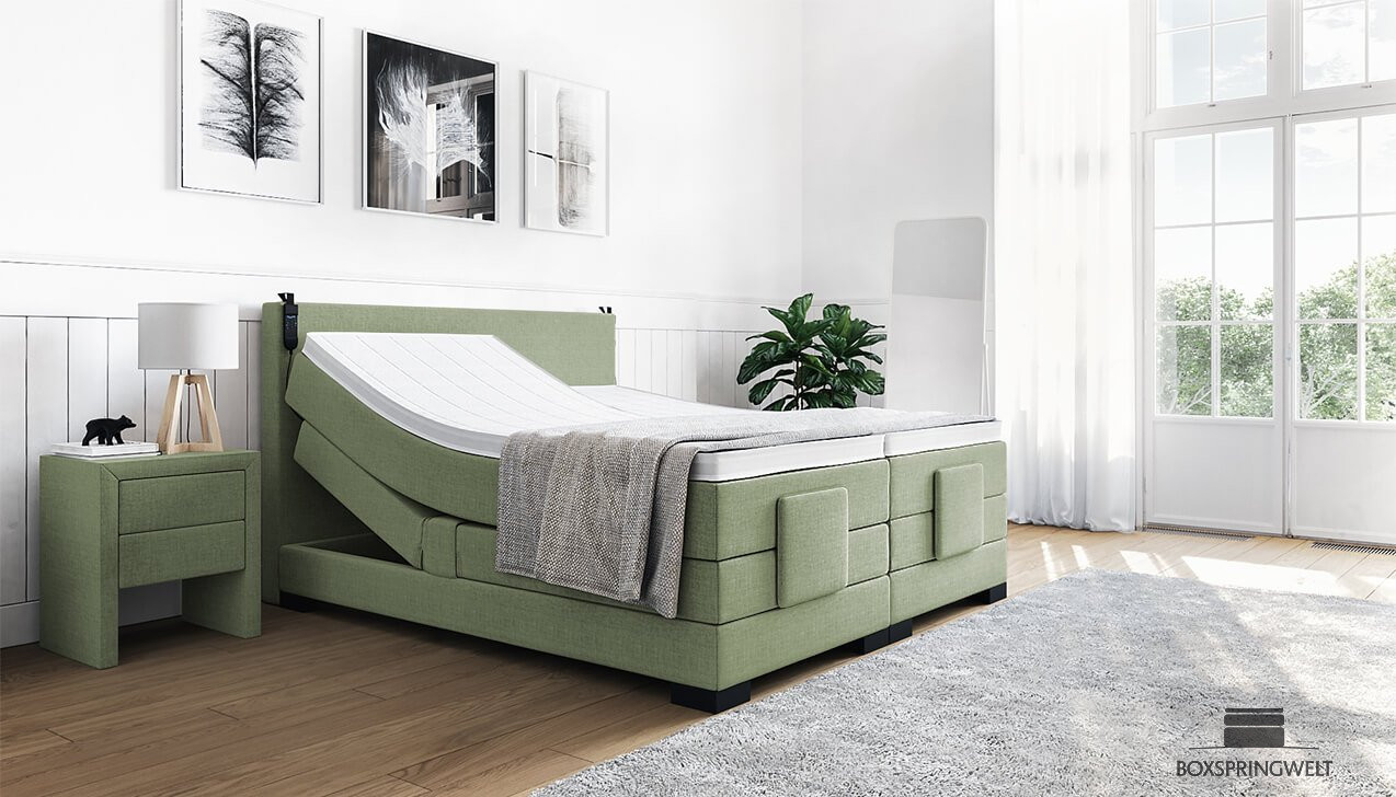 Boxspringbett Konrad mit Motor in Board Grün