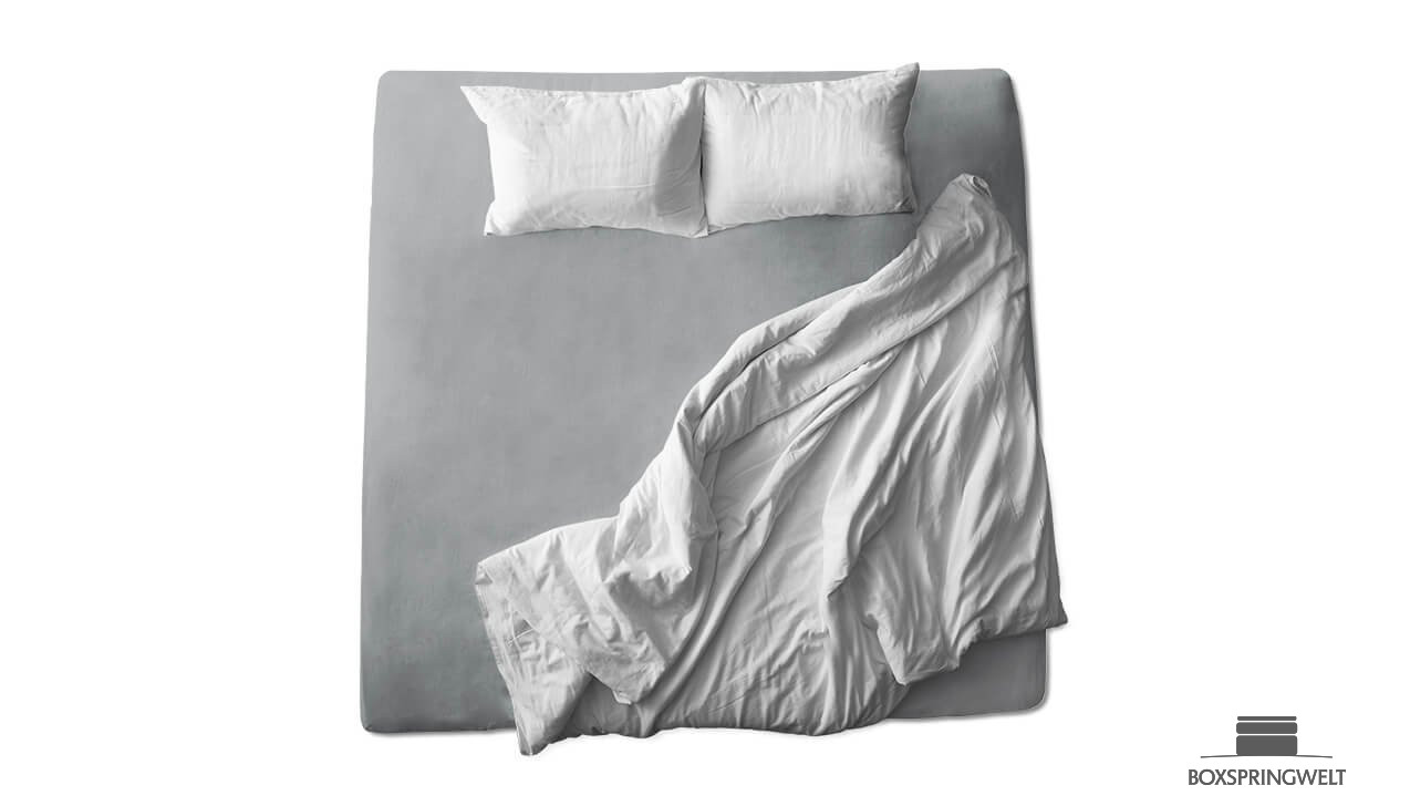 Schaflux Jersey Spannbettlaken in Grafit