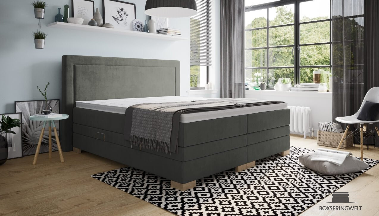 Bezug Challenger Graphite