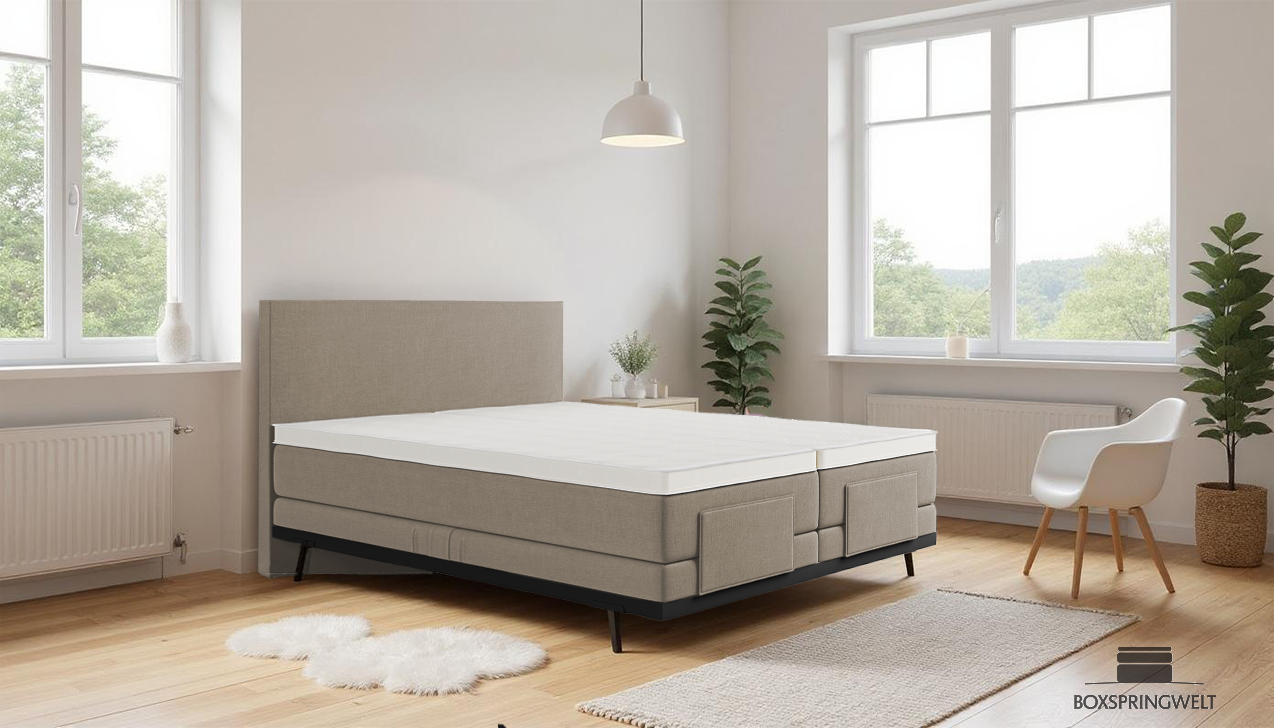 Boxpspringbett Mika in Board Beige
