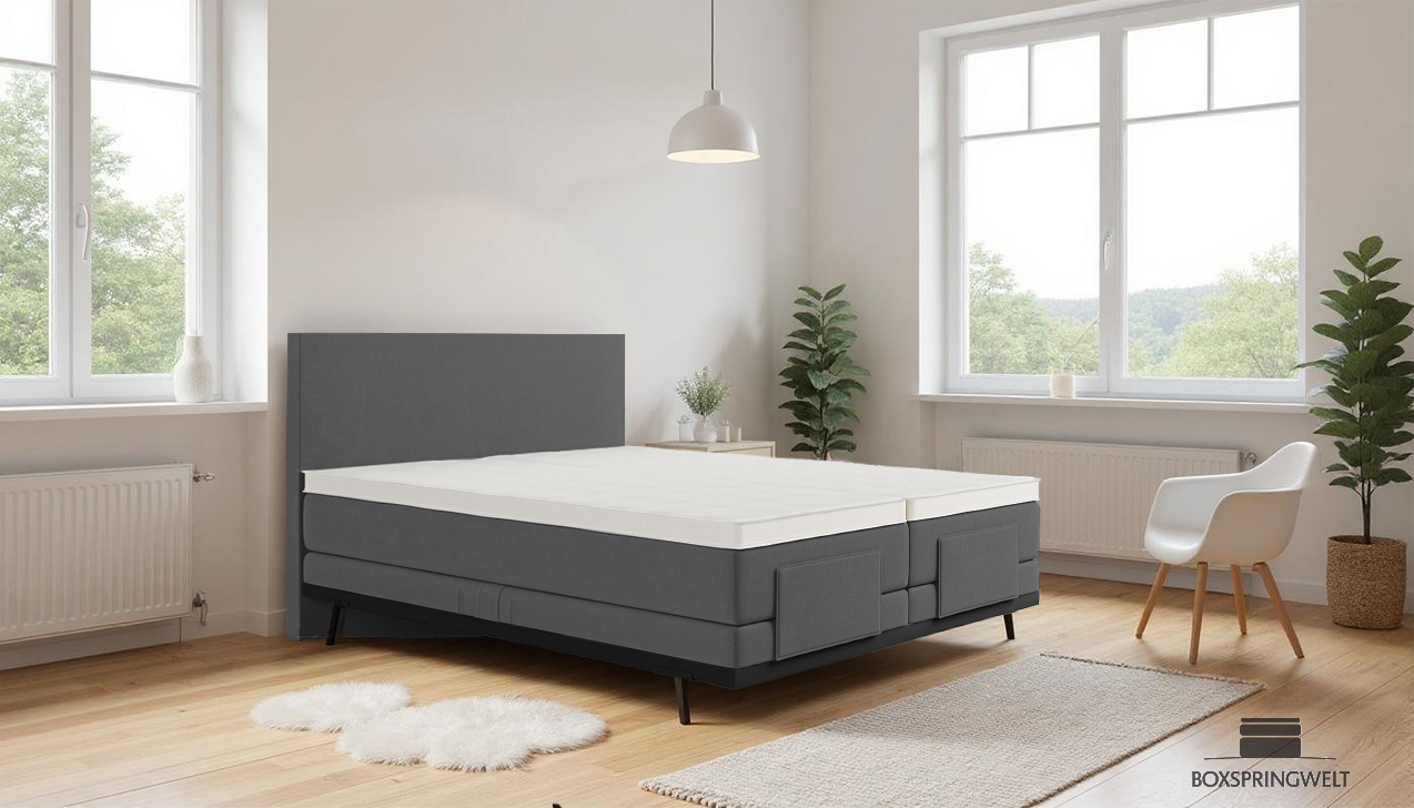 Boxpspringbett Mika in Board Dunkelgrau