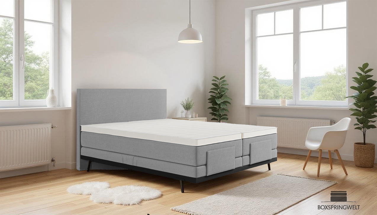 Boxpspringbett Mika in Board Grau