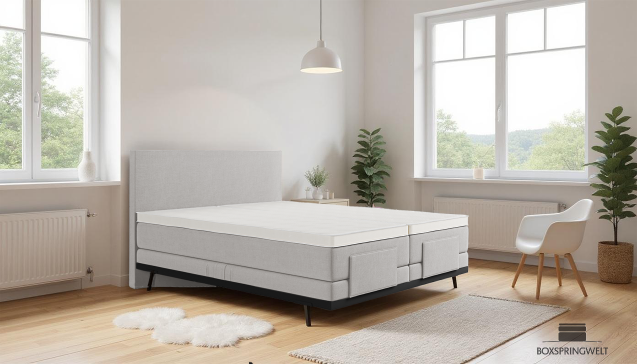 Boxpspringbett Mika in Board Hellgrau