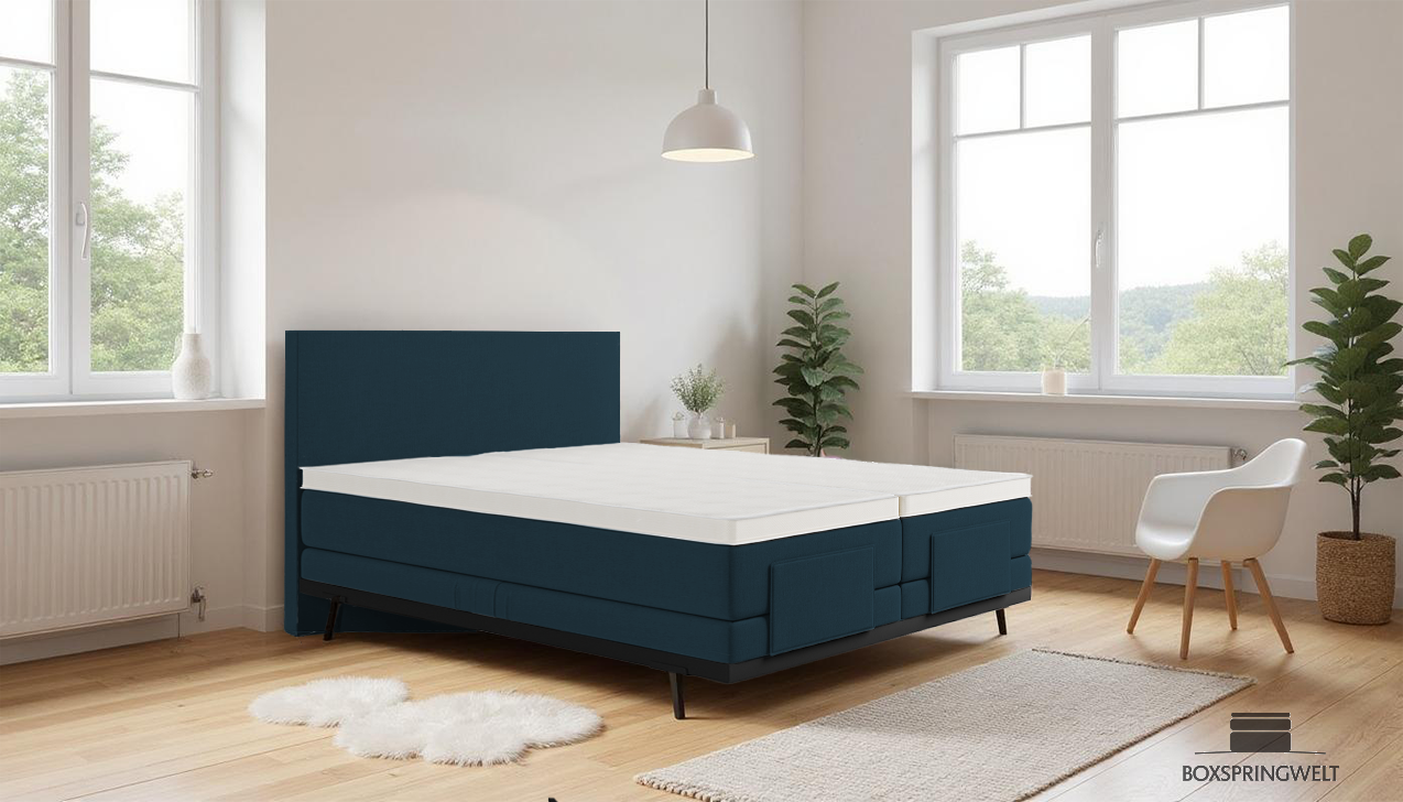 Boxpspringbett Mika in Board Navy