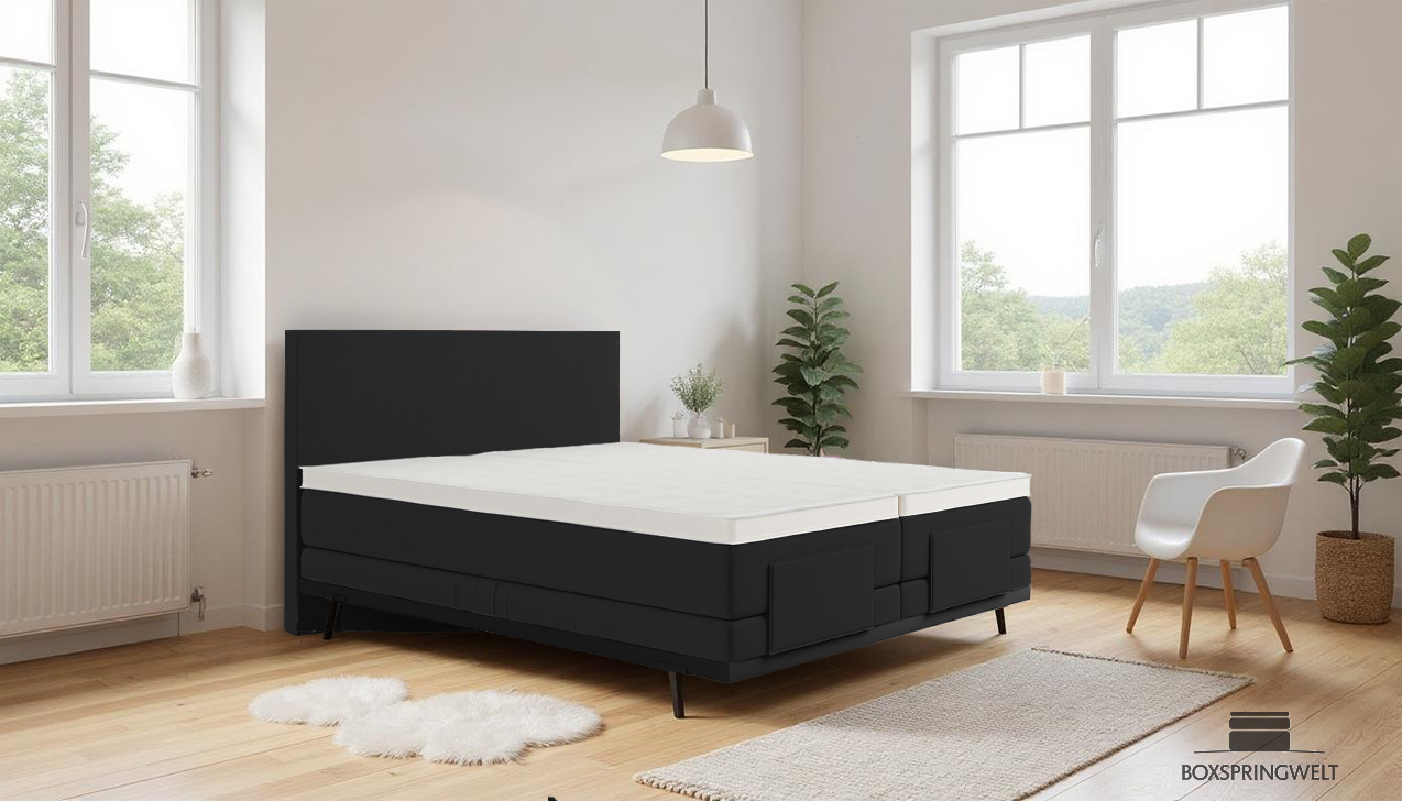 Boxpspringbett Mika in Board Onyx
