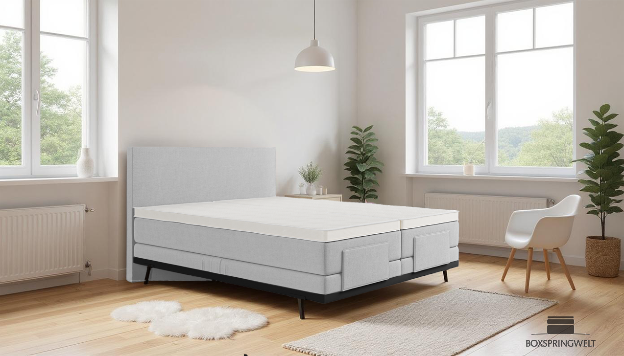 Boxpspringbett Mika in Board Zink