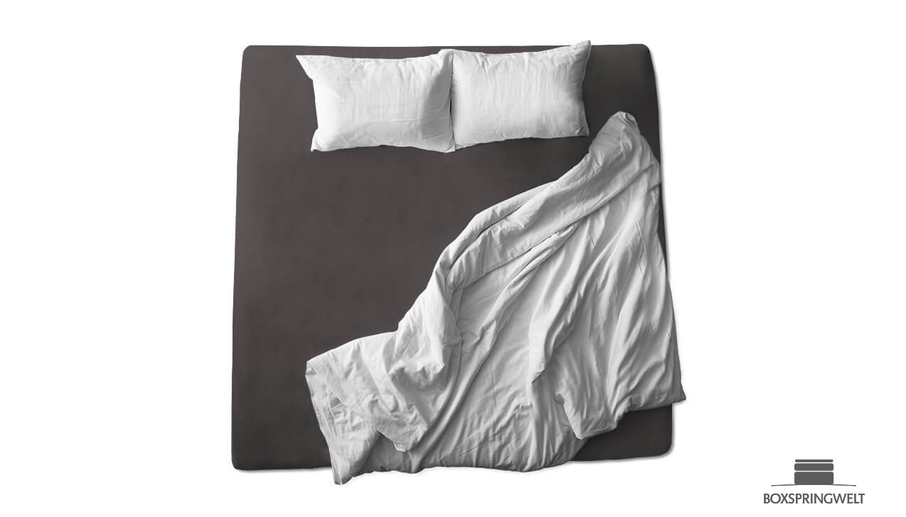 Schaflux Jersey Spannbettlaken in Schiefer
