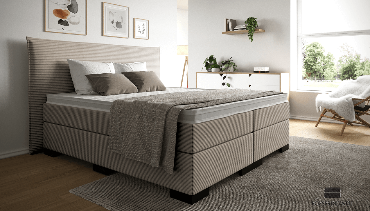 Boxspringbett Paul in Ribcord Taupe