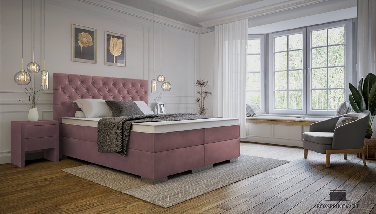 Boxspringbett Antonia in Adore Pale