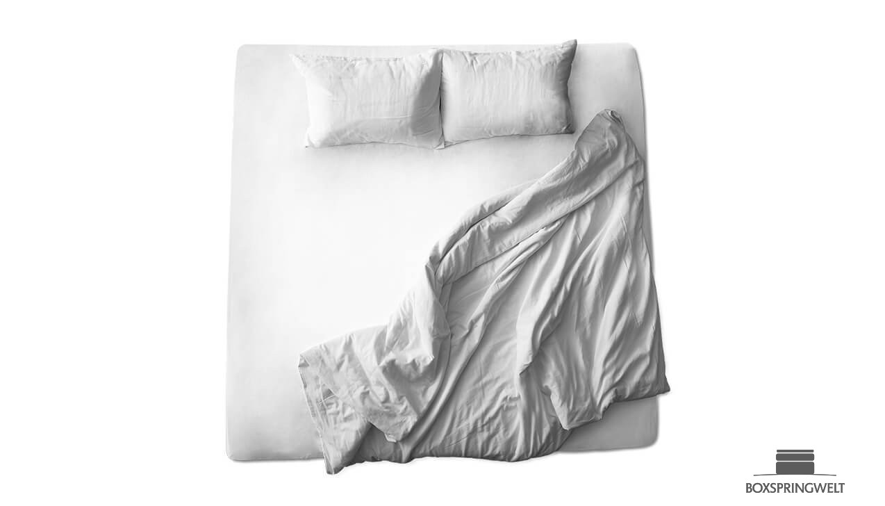 Schaflux Jersey Spannbettlaken in Weiß