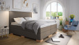 Boxspringbett Hedwig in Luca Taupe 