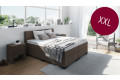 Boxspringbett XXL in Board Taupe